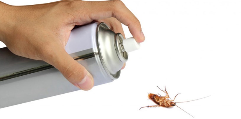 Как и чем морить тараканов дома